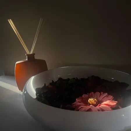 Cascina Cortassa Apartment Monteu Roero