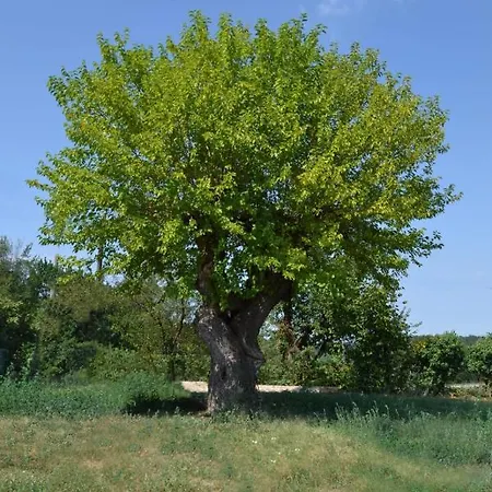 Cascina Cortassa Apartment *